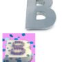 Small Alphabet "B" Birthday Wedding Anniversary Cake Tins / Pans / Mould by Falcon 10" x 8" x 2.5" Deep